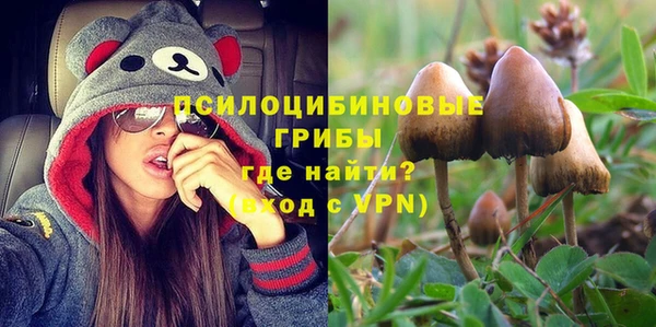 стафф Богородицк