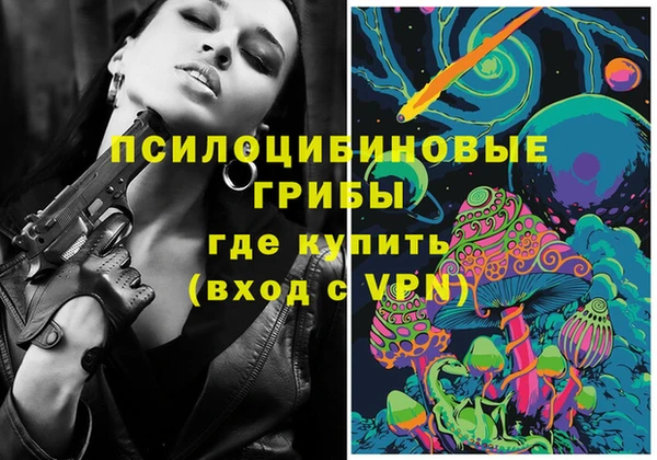 стафф Богородицк