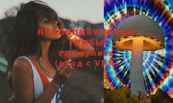 стафф Богородицк