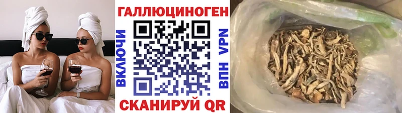 kraken ССЫЛКА Вельск Галлюциногенные грибы Cubensis даркнет сайт